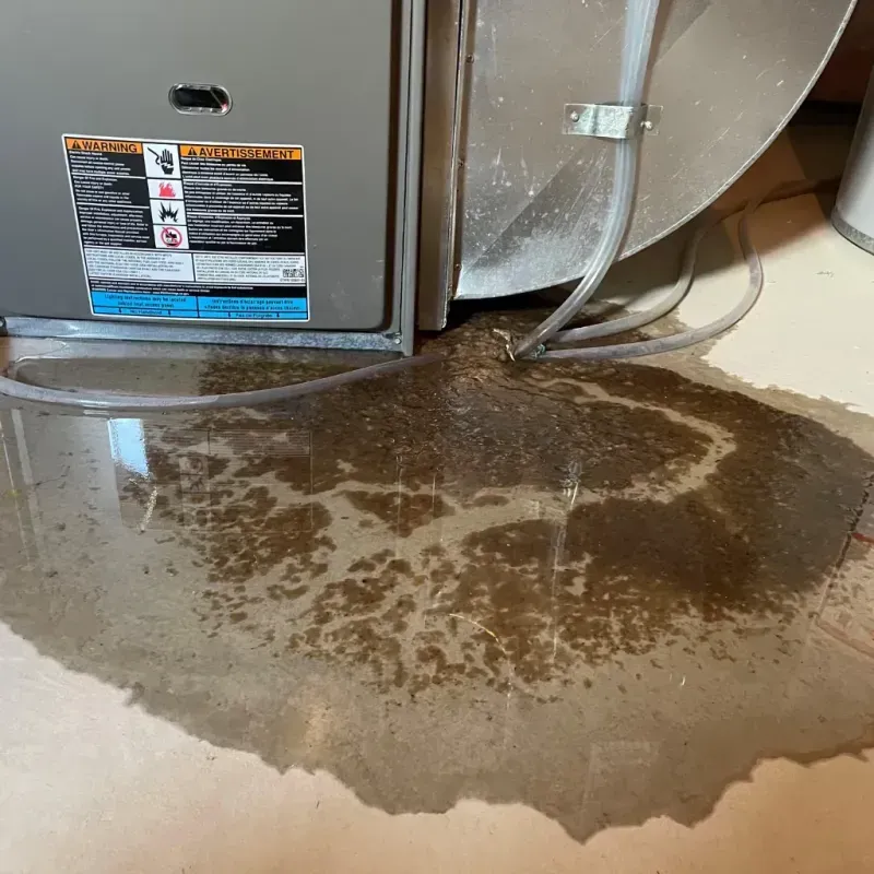 Appliance Leak Cleanup in Alum Creek, WV